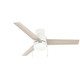 Hunter - 51972 - 52 Ceiling Fan - Brunner - Matte White