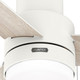 Brunner 52" Ceiling Fan (51972)