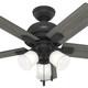 Crystal Peak 44" Ceiling Fan (52351)