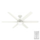 Skysail 60" Ceiling Fan (52370)