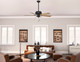 Shady Grove 52" Ceiling Fan (52381)
