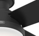 Dempsey 52" Ceiling Fan (52389)