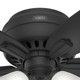 Newsome 42" Ceiling Fan (52393)