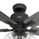 Gatlinburg 52" Ceiling Fan (52429)
