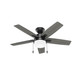 Anisten 44" Ceiling Fan (52486)