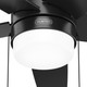 Bardot 44" Ceiling Fan (52492)