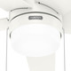 Bardot 44" Ceiling Fan (52494)