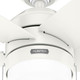 Bardot 44" Ceiling Fan (52494)