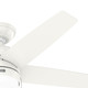 Bardot 44" Ceiling Fan (52494)