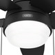 Lilliana 44" Ceiling Fan (52613)