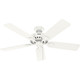 Pro's Best 52" Ceiling Fan (52727)
