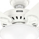 Pro's Best 52" Ceiling Fan (52727)