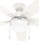Anisten 52" Ceiling Fan (52773)