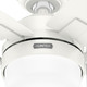 Anisten 44" Ceiling Fan (52774)