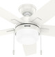 Anisten 44" Ceiling Fan (52774)