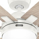 Georgetown 52" Ceiling Fan (52784)