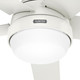 Aerodyne 60" Ceiling Fan (52832)