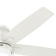 Anisten 52" Ceiling Fan (52835)