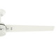 Cassius 60" Ceiling Fan (52980)
