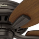 Newsome 52" Ceiling Fan (53323)