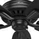 Newsome 52" Ceiling Fan (53324)