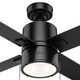 Beck 42" Ceiling Fan (53433)