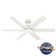 Kennicott 52" Ceiling Fan (53435)