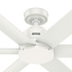 Kennicott 52" Ceiling Fan (53435)