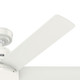 Kennicott 52" Ceiling Fan (53435)