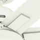 Downtown 60" Ceiling Fan (53436)