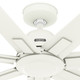 Downtown 60" Ceiling Fan (53436)