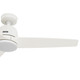 Malden 52" Ceiling Fan (53547)