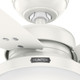 Sentinel 52" Ceiling Fan (59169)