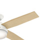 Dempsey 52" Ceiling Fan (59217)