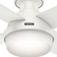 Dempsey 52" Ceiling Fan (59242)