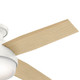 Dempsey 44" Ceiling Fan (59244)