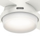 Dempsey 44" Ceiling Fan (59246)