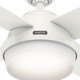 Dempsey 44" Ceiling Fan (59246)