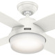 Dempsey 44" Ceiling Fan (59246)
