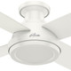 Dempsey 52" Ceiling Fan (59248)
