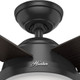 Dempsey 52" Ceiling Fan (59251)