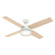 Dempsey 52" Ceiling Fan (59252)