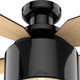 Cranbrook 52" Ceiling Fan (59259)