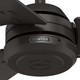 Cassius 52" Ceiling Fan (59261)