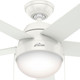 Anslee 46" Ceiling Fan (59266)