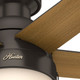 Anslee 46" Ceiling Fan (59268)