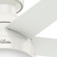 Anslee 46" Ceiling Fan (59269)