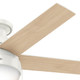 Anslee 46" Ceiling Fan (59269)