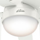 Anslee 46" Ceiling Fan (59269)
