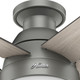 Anslee 46" Ceiling Fan (59270)